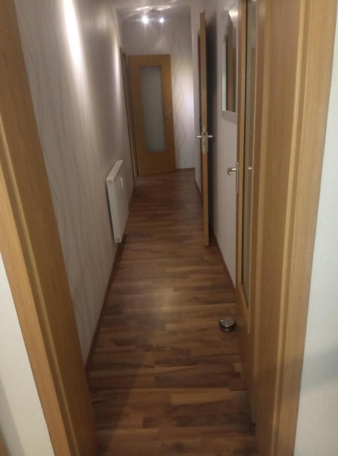 Ferienwohnung Rickyy Reichenbach im Vogtland Exteriör bild